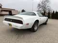Pontiac Trans Am Blanco - thumbnail 2