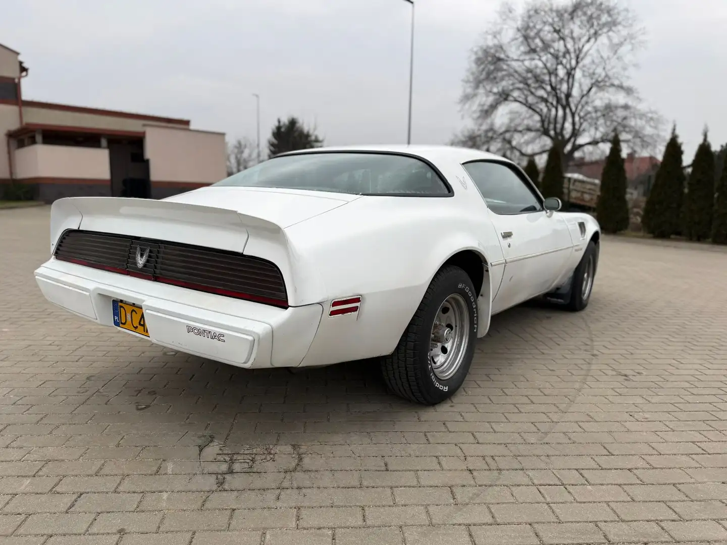 Pontiac Trans Am Blanco - 2