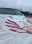 Pontiac Trans Am Blanco - thumbnail 5