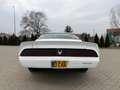 Pontiac Trans Am Blanco - thumbnail 4