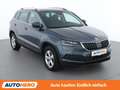 Skoda Karoq 1.6 TDI Style Limited Grau - thumbnail 8