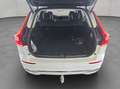Volvo XC60 XC60 T8 AWD Recharge Geartronic Inscription Expres Weiß - thumbnail 3