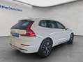 Volvo XC60 XC60 T8 AWD Recharge Geartronic Inscription Expres Weiß - thumbnail 5
