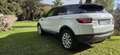 Land Rover Range Rover Evoque 150 cv 2.0 204 dtd 110kw - thumbnail 12