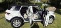 Land Rover Range Rover Evoque 150 cv 2.0 204 dtd 110kw - thumbnail 10