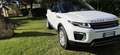 Land Rover Range Rover Evoque 150 cv 2.0 204 dtd 110kw - thumbnail 6