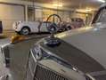 Mercedes-Benz 300 Dora Wit - thumbnail 5