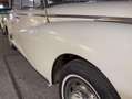 Mercedes-Benz 300 Dora Wit - thumbnail 7