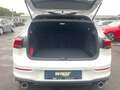 Volkswagen Golf GTI Golf VIII GTI 2.0 TSI DSG ACC RFK HUD SHZ Navi K Weiß - thumbnail 11