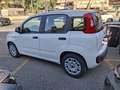 Fiat Panda Panda III 2021 1.0 firefly hybrid s Weiß - thumbnail 3
