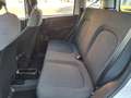 Fiat Panda Panda III 2021 1.0 firefly hybrid s Weiß - thumbnail 6