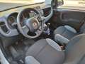 Fiat Panda Panda III 2021 1.0 firefly hybrid s Weiß - thumbnail 4