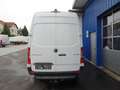 Mercedes-Benz Sprinter 317 CDI Kasten L2H2 RWD / AHK 3500 KG Weiß - thumbnail 9