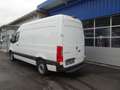 Mercedes-Benz Sprinter 317 CDI Kasten L2H2 RWD / AHK 3500 KG Weiß - thumbnail 7