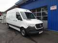 Mercedes-Benz Sprinter 317 CDI Kasten L2H2 RWD / AHK 3500 KG Weiß - thumbnail 1
