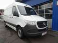 Mercedes-Benz Sprinter 317 CDI Kasten L2H2 RWD / AHK 3500 KG Weiß - thumbnail 2