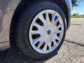 Lancia Ypsilon Ypsilon III 2012 1.2 8v Platinum ecochic Gpl 69cv Grau - thumbnail 17