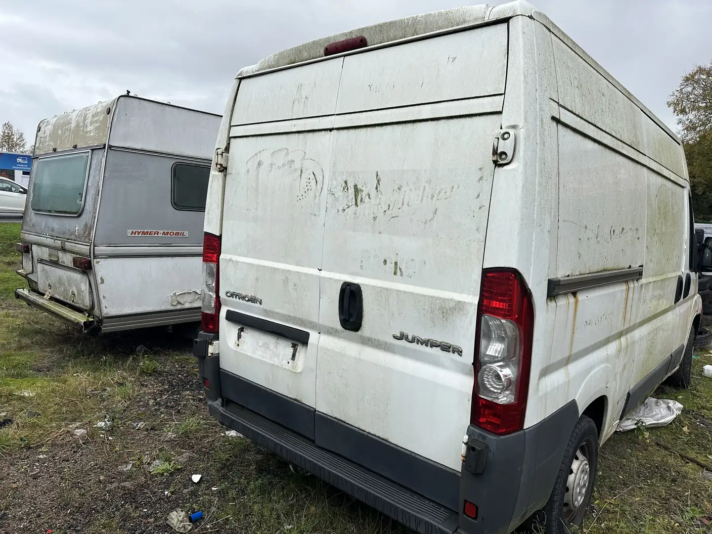 Citroen jumper Weiß - 2