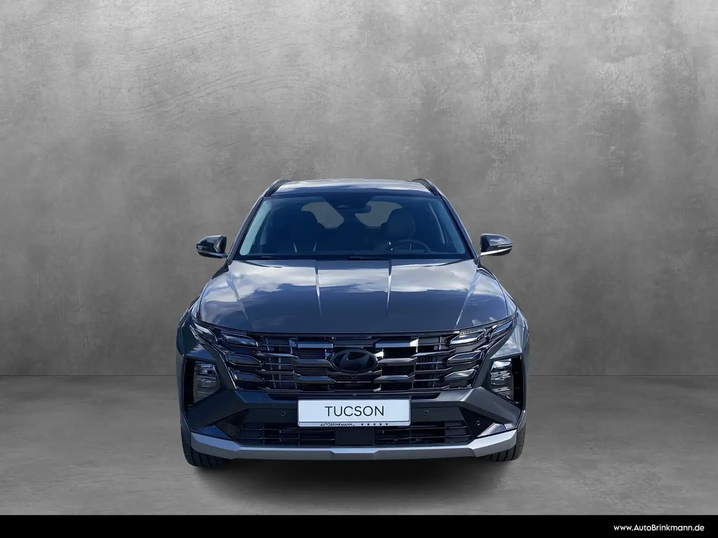 Hyundai TUCSON Tucson HEV 1.6 T-GDi Prime Assistenzp.RFK SHZ Navi Grau - 2