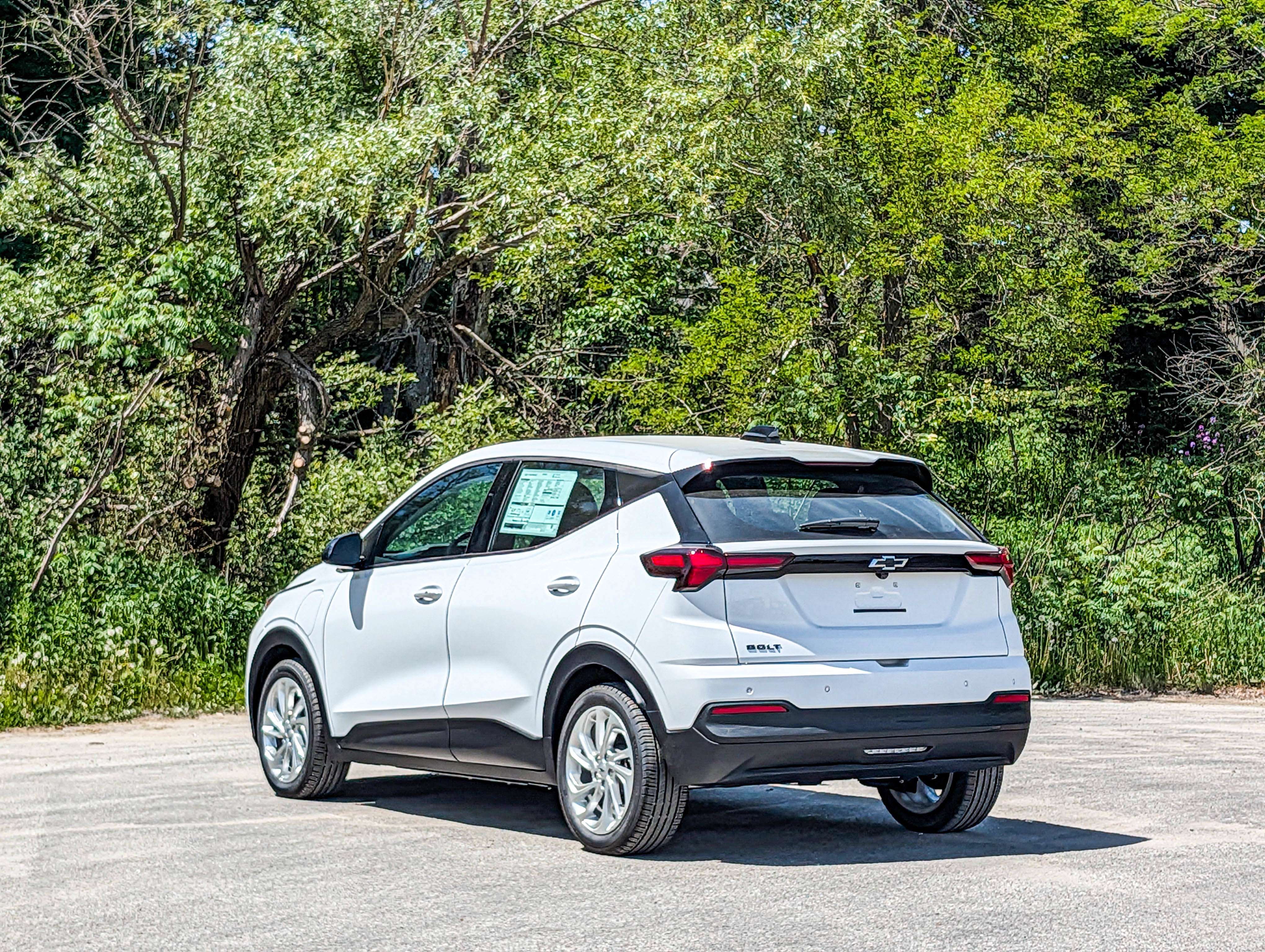 Image 13