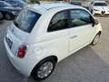Fiat 500 500 1.2 Pop Bianco - thumbnail 5