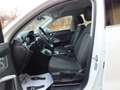 Audi Q3 150 CV TDI 4x4 AUT.ADANCED PLUS- RETROC.ADAPT. C.C Weiß - thumbnail 10