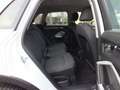 Audi Q3 150 CV TDI 4x4 AUT.ADANCED PLUS- RETROC.ADAPT. C.C Weiß - thumbnail 20