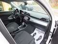 Audi Q3 150 CV TDI 4x4 AUT.ADANCED PLUS- RETROC.ADAPT. C.C Weiß - thumbnail 18