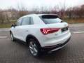 Audi Q3 150 CV TDI 4x4 AUT.ADANCED PLUS- RETROC.ADAPT. C.C Weiß - thumbnail 8