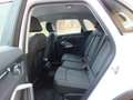 Audi Q3 150 CV TDI 4x4 AUT.ADANCED PLUS- RETROC.ADAPT. C.C Weiß - thumbnail 11