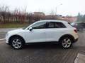 Audi Q3 150 CV TDI 4x4 AUT.ADANCED PLUS- RETROC.ADAPT. C.C Weiß - thumbnail 4