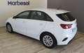 Kia Ceed / cee'd 1.0 T-GDI Eco-Dynamics Concept 120 Blanco - thumbnail 4