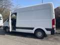 Hyundai H 350 H350 Cargo L2H2 EU6 S Weiß - thumbnail 6