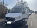 Hyundai H 350 H350 Cargo L2H2 EU6 S Weiß - thumbnail 1