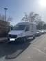 Hyundai H 350 H350 Cargo L2H2 EU6 S Weiß - thumbnail 8
