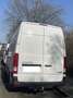 Hyundai H 350 H350 Cargo L2H2 EU6 S Weiß - thumbnail 15
