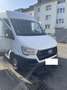 Hyundai H 350 H350 Cargo L2H2 EU6 S Weiß - thumbnail 4