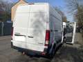 Hyundai H 350 H350 Cargo L2H2 EU6 S Weiß - thumbnail 16