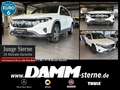 Mercedes-Benz EQB 300 EQB 300 4M Electr.Art Adv+/7Sitze/360°/Pano+Flex Weiß - thumbnail 1