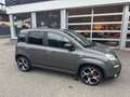 Fiat Panda Hyprid Sport FireFly 70PS Grau - thumbnail 2