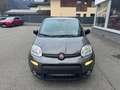 Fiat Panda Hyprid Sport FireFly 70PS Grau - thumbnail 7