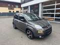 Fiat Panda Hyprid Sport FireFly 70PS Grau - thumbnail 4
