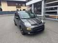 Fiat Panda Hyprid Sport FireFly 70PS Grau - thumbnail 6