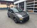 Fiat Panda Hyprid Sport FireFly 70PS Grau - thumbnail 5
