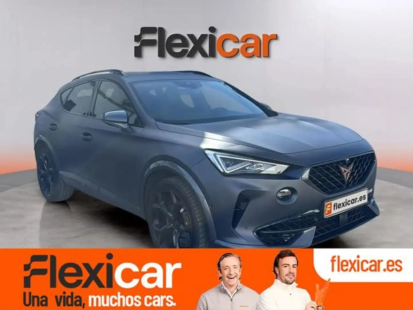 CUPRA Formentor 2.0 TSI 228kW) 4Drive DSG L Ed Graphene Gris - 1