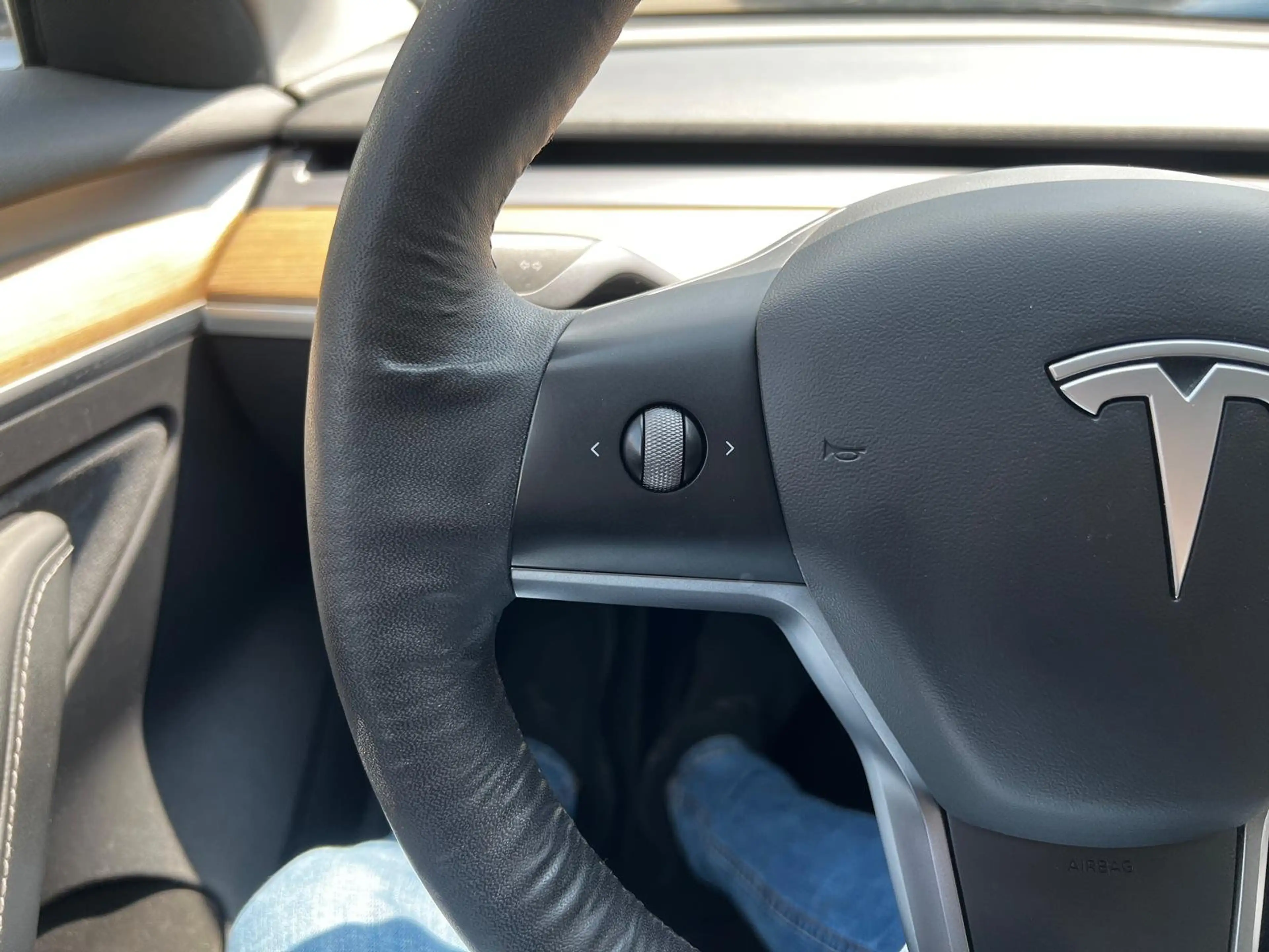 Tesla Model 3 Standard Range Plus NAVI/KAMERA/DAB/AHK — photo 12