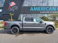 Ford F 150 Supercrew LARIAT Black Package V8 5.0L FLEXFUEL Gris - thumbnail 8