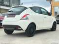 Lancia Ypsilon 1.0 FireFly 5p.S&S Hyb. Eco Gold OK NEOPATENTATI Bianco - thumbnail 5