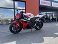 Honda CBR 600 - thumbnail 1