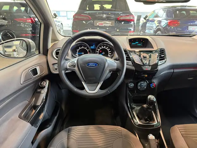 Ford Fiesta view 10